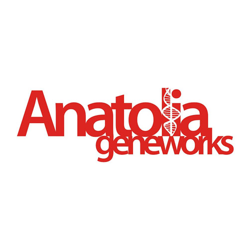 Anatolia Geneworks